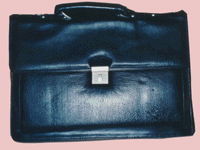  Executive Portfolio Bags (1508)